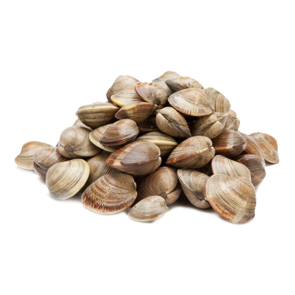 Order Clam Meat Online From Catch of the Day ,Mumbai