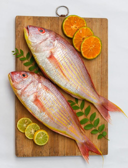 Red Snapper - Fresh Fish Mumbai
